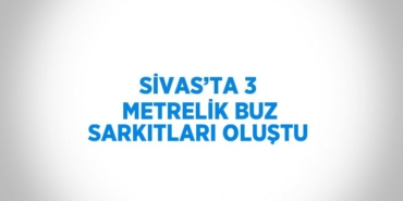 28958256272288630099tasarimli