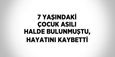 28958267992388322720tasarimli