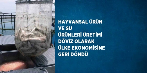 HAYVANSAL ÜRÜN VE SU ÜRÜNLERİ ÜRETİMİ DÖVİZ OLARAK ÜLKE EKONOMİSİNE GERİ DÖNDÜ