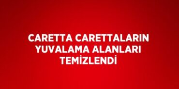 28965301202459820449tasarimli