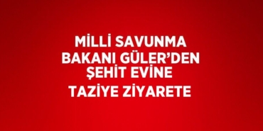 28969289642240224433tasarimli