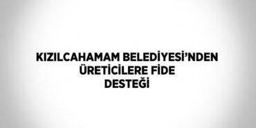 28977208462413631530tasarimli