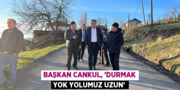 28982310402713831361tasarimli