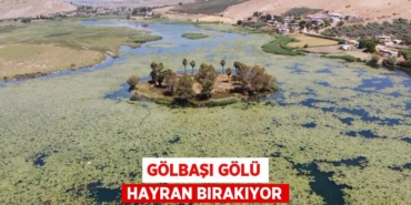 28988295312239624991tasarimli