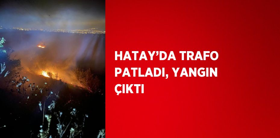 28993275593076320616