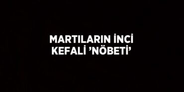 28998226523140430937tasarimli
