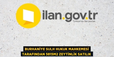 29001291242819123751tasarimli