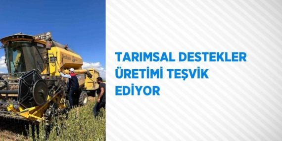 TARIMSAL DESTEKLER ÜRETİMİ TEŞVİK EDİYOR