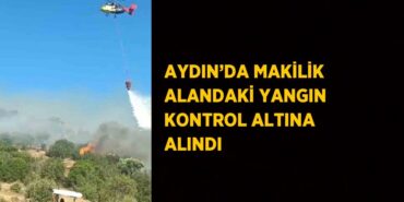 29005201642385628949