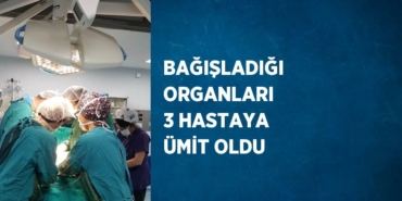 29005234172401022893