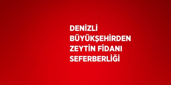 DENİZLİ BÜYÜKŞEHİRDEN ZEYTİN FİDANI SEFERBERLİĞİ