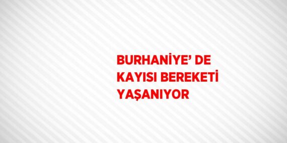 BURHANİYE’ DE KAYISI BEREKETİ YAŞANIYOR