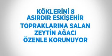 29010206363096731126tasarimli