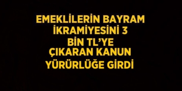 29013312942249726893tasarimli