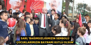 29015208542196431189tasarimli