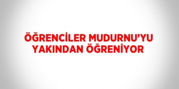 29015269033059628654tasarimli