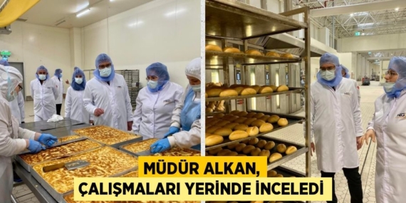 MÜDÜR ALKAN, ÇALIŞMALARI YERİNDE İNCELEDİ