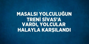 29025266412181727809tasarimli