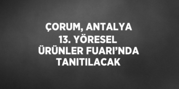 29034226872505823418tasarimli