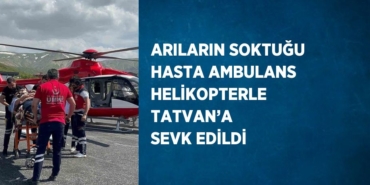 29038312093059430397