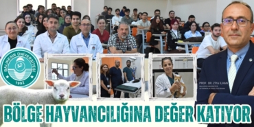 29039288352800421352