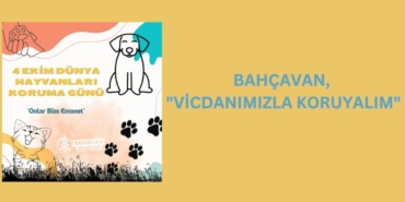 29042301852743325148