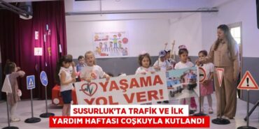 29045304122210327507tasarimli