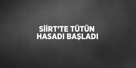 SİİRT’TE TÜTÜN HASADI BAŞLADI