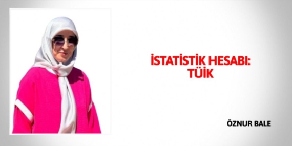 İSTATİSTİK HESABI: TÜİK