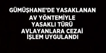 29049299412198722859tasarimli