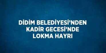 29050264013109720545tasarimli