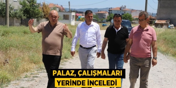 PALAZ, ÇALIŞMALARI YERİNDE İNCELEDİ