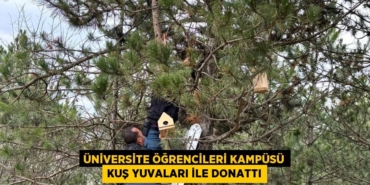 29059206442309123592tasarimli