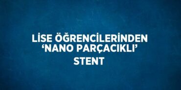 29060239852224526600tasarimli