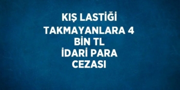 29065211212901020025tasarimli