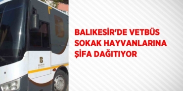 29065250342007729668