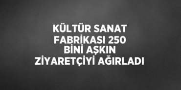 29066227432689424265tasarimli