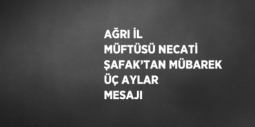 29067239072417224026