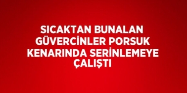 29067317292286825752tasarimli