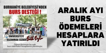 29079266022168223692