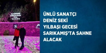 29079310883119230375