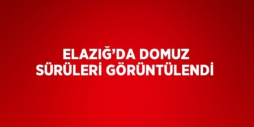 29080271592048723293tasarimli