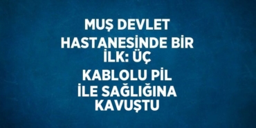 29100222732281830801tasarimli