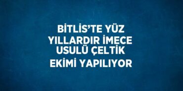 29100285952791231311tasarimli