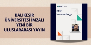 29101312022908328450