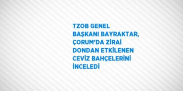 29102245902698220285