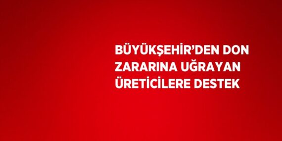 BÜYÜKŞEHİR’DEN DON ZARARINA UĞRAYAN ÜRETİCİLERE DESTEK