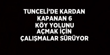 29104245982419927418tasarimli