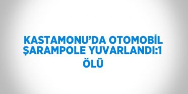 29105253942801826161tasarimli