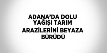29107249042091824256tasarimli